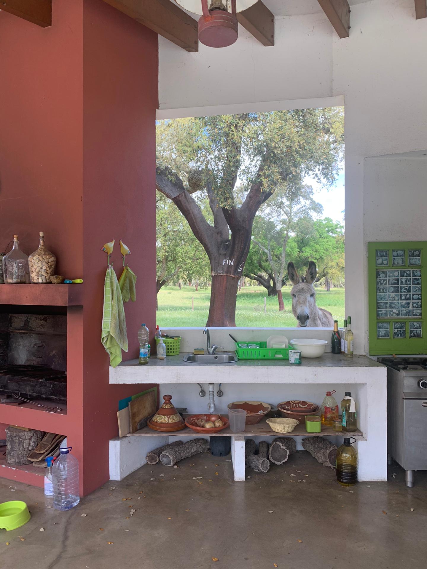 Casa nas Ermidas do Sado — 16
