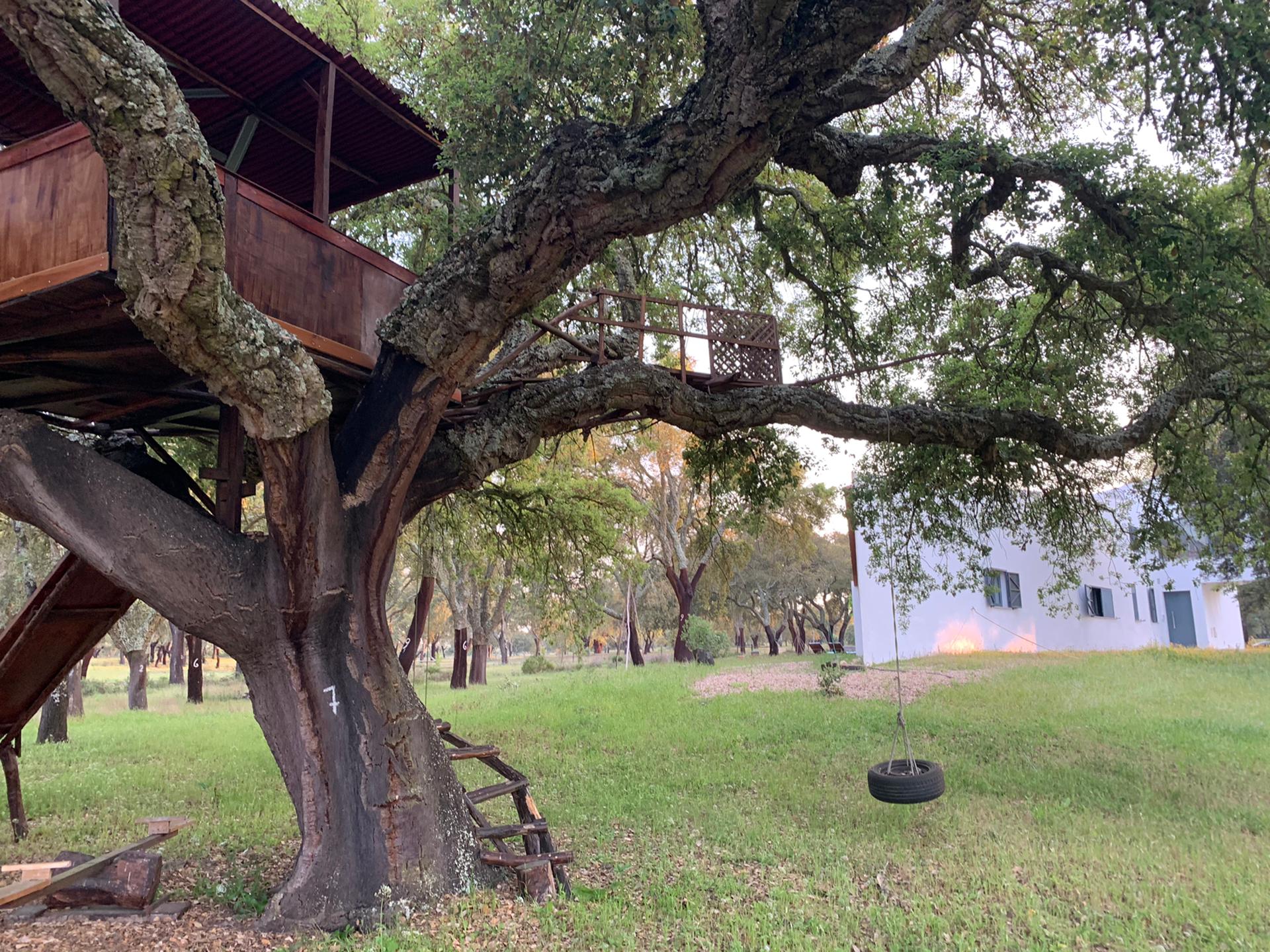 Casa nas Ermidas do Sado — 11
